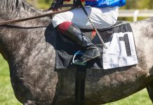 A jockey and horse as Caesars bring its horse racing product to two new markets.
