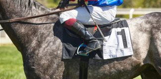 A jockey and horse as Caesars bring its horse racing product to two new markets.