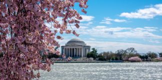 DC landscape as lawmakers in the jurisdiction consider a bill to ban sweepstakes and authorize online casino gaming.