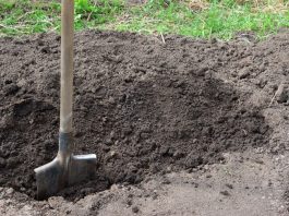 A shovel in the ground digging a hole
