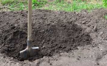 A shovel in the ground digging a hole