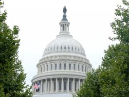 Brandon Walker, Amelco: what is the current state of affairs within the U.S? Amelco assesses it's U.S. progress, and alaborates on where future growth could come.