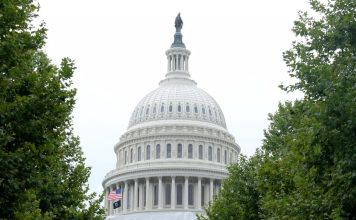 Amelco assesses it's U.S. progress, and alaborates on where future growth could come.