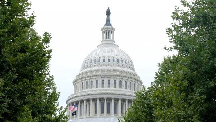 Amelco-US-state-of-affairs-1 Amelco assesses it's U.S. progress, and alaborates on where future growth could come.