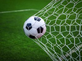 football in a net
