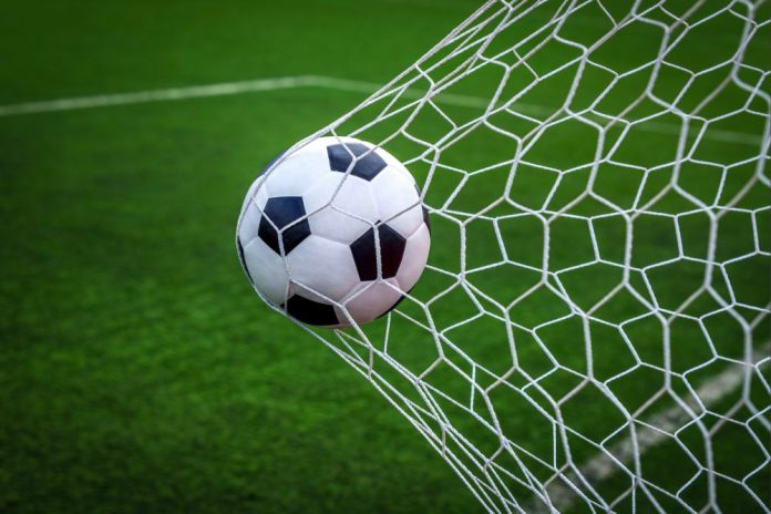 football-in-net football in a net