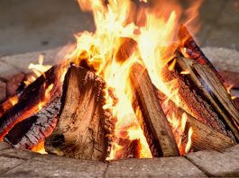 A fire pit as Delaware North rebrands its gaming business to Ember Entertainment.