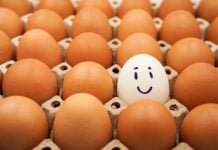 BETER’s CEO: Why differentiation, not market entry, will define the next phase of growth