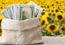 A bag of money as FanDuel is fined in Iowa.