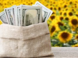 Iowa regulator fines FanDuel for soccer, basketball betting errors A bag of money as FanDuel is fined in Iowa.
