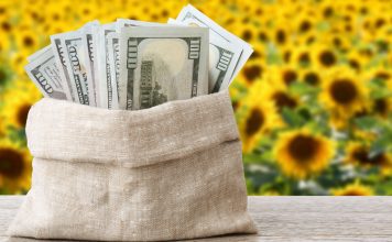 A bag of money as FanDuel is fined in Iowa.