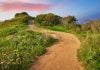 A new path for online casino expansion in the U.S. Pathway