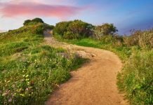 A new path for online casino expansion in the U.S. Pathway