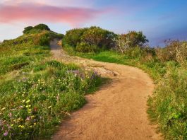 A new path for online casino expansion in the U.S. Pathway