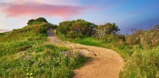 A new path for online casino expansion in the U.S. Pathway