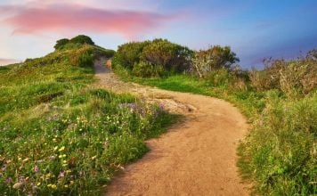 A new path for online casino expansion in the U.S. Pathway
