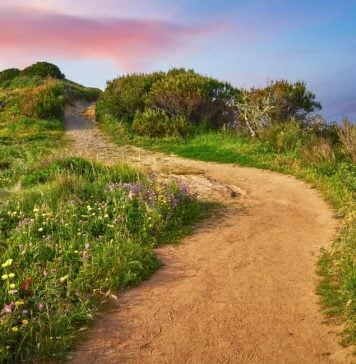 A new path for online casino expansion in the U.S. Pathway