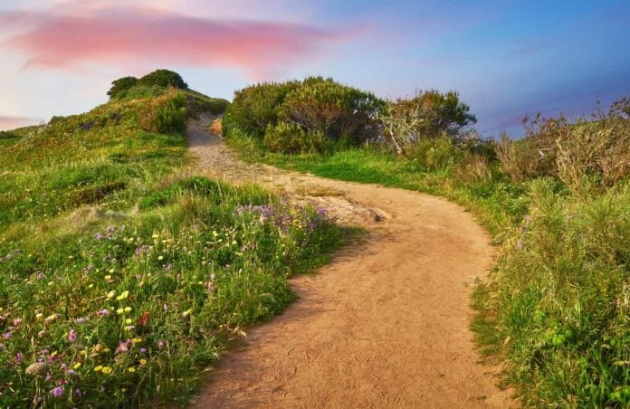 Pathway