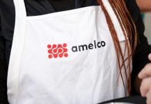 The Amelco logo
