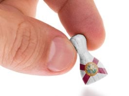 Florida AG targets tech companies over sweepstakes casino ads Florida sweepstakes casino big tech