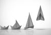 Origami representing evolution