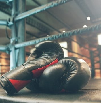 Pateplay: competing against heavyweights to achieve the American dream Pateplay details its strategies for conquering U.S. iGaming.