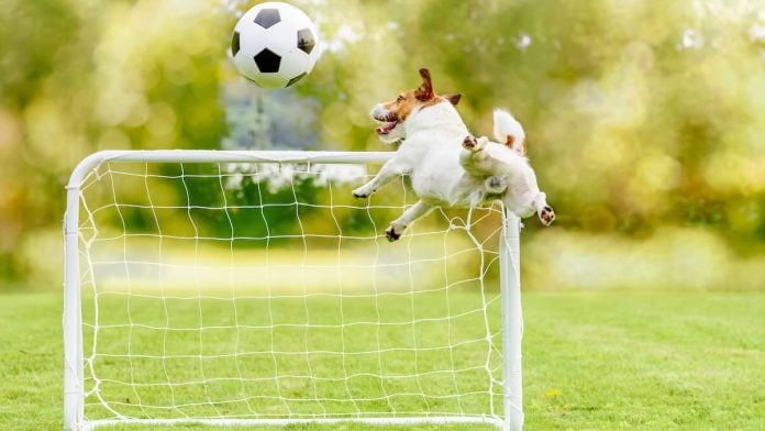 Underdog prediction markets